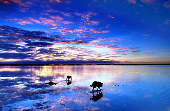 SnapCrab_NoName_2015-6-13_16-40-31_No-00.png