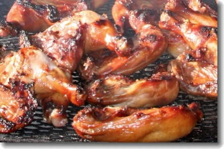Chicken Teriyaki wide.jpg