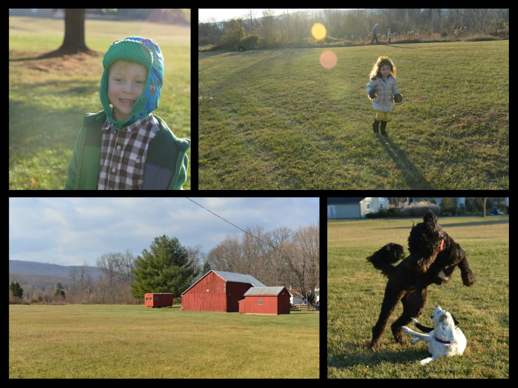 Thanksgiving2013b.jpg