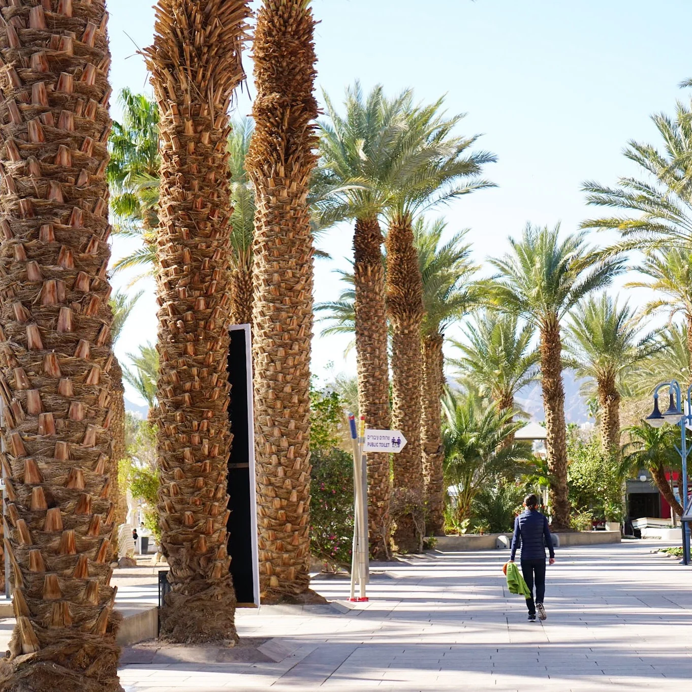 Photo Jan 11, 7 56 01 AM.jpg