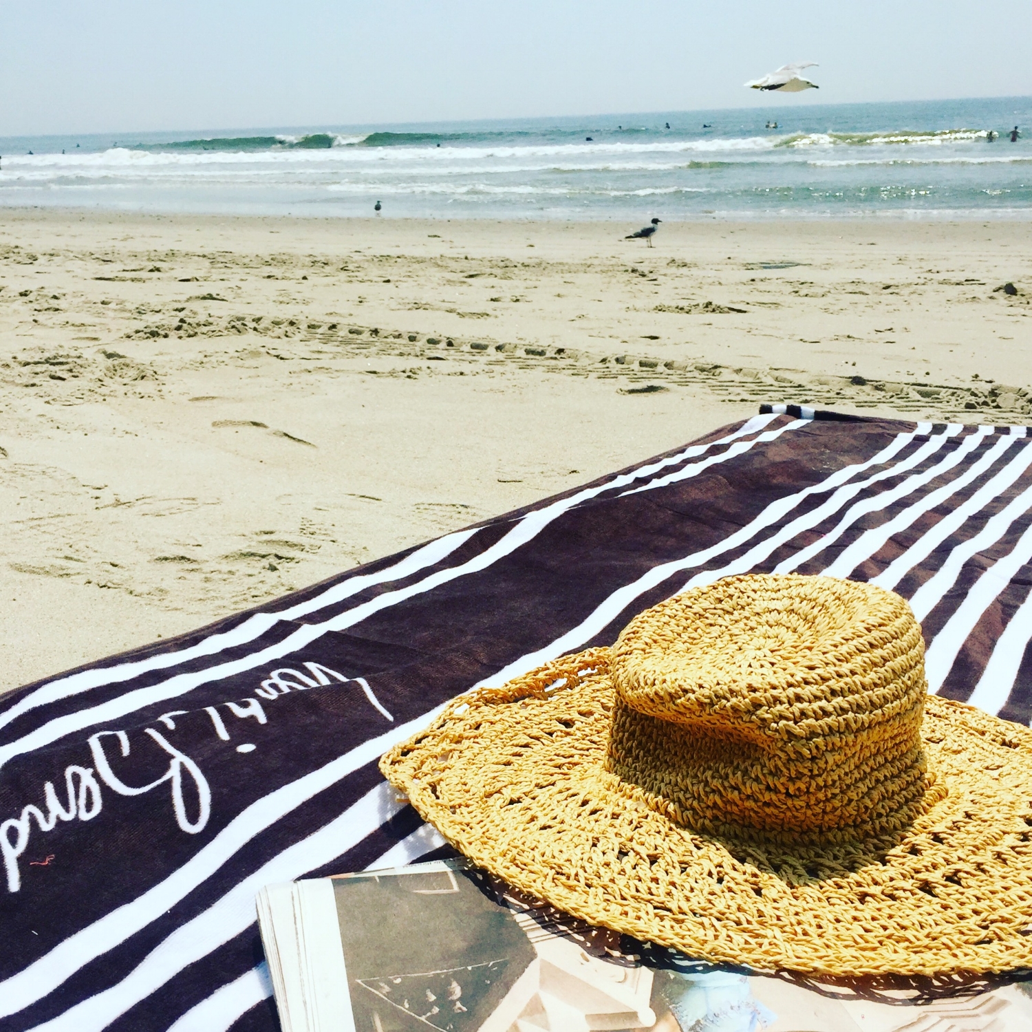 Rockaway Beach Day