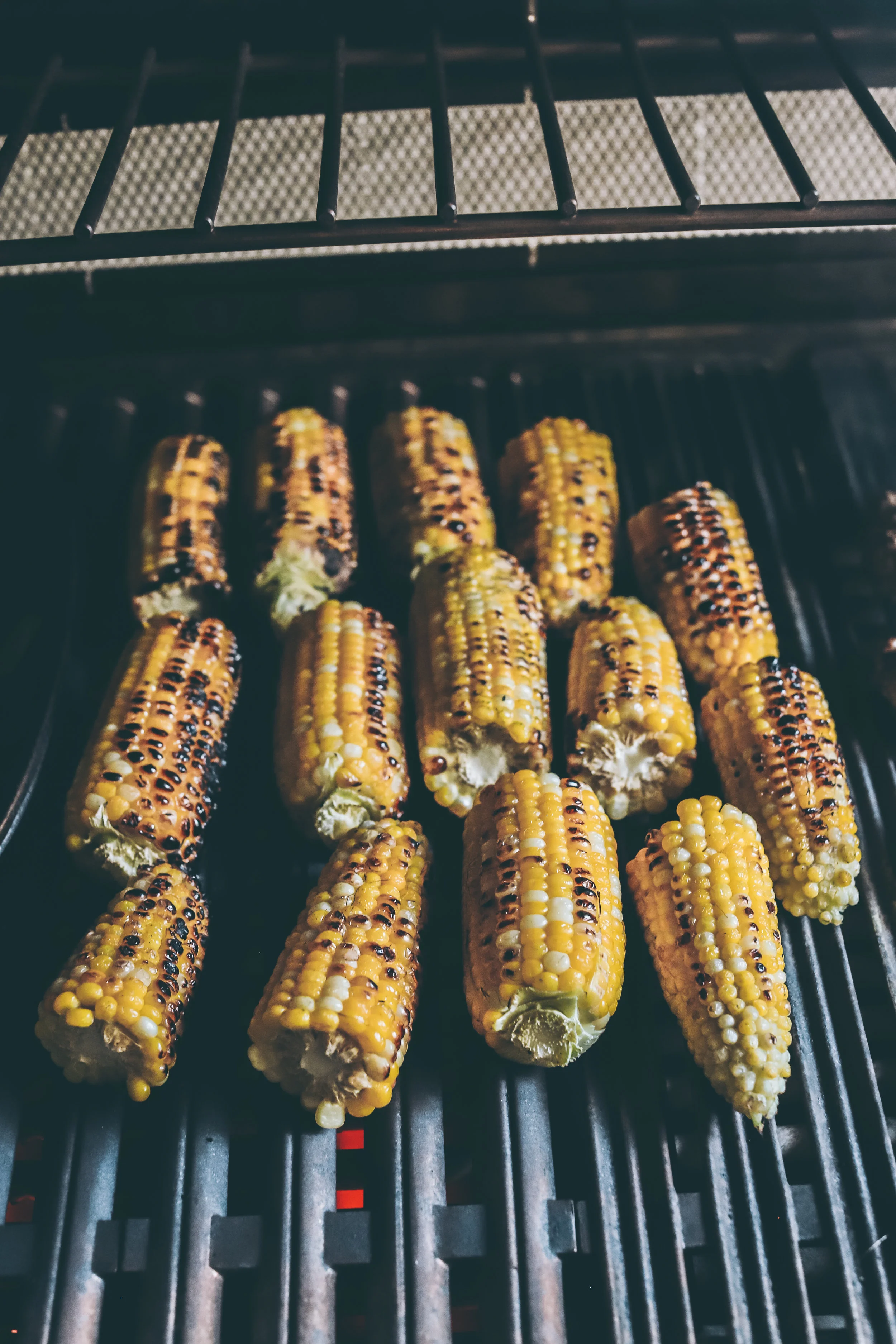 corn.jpg