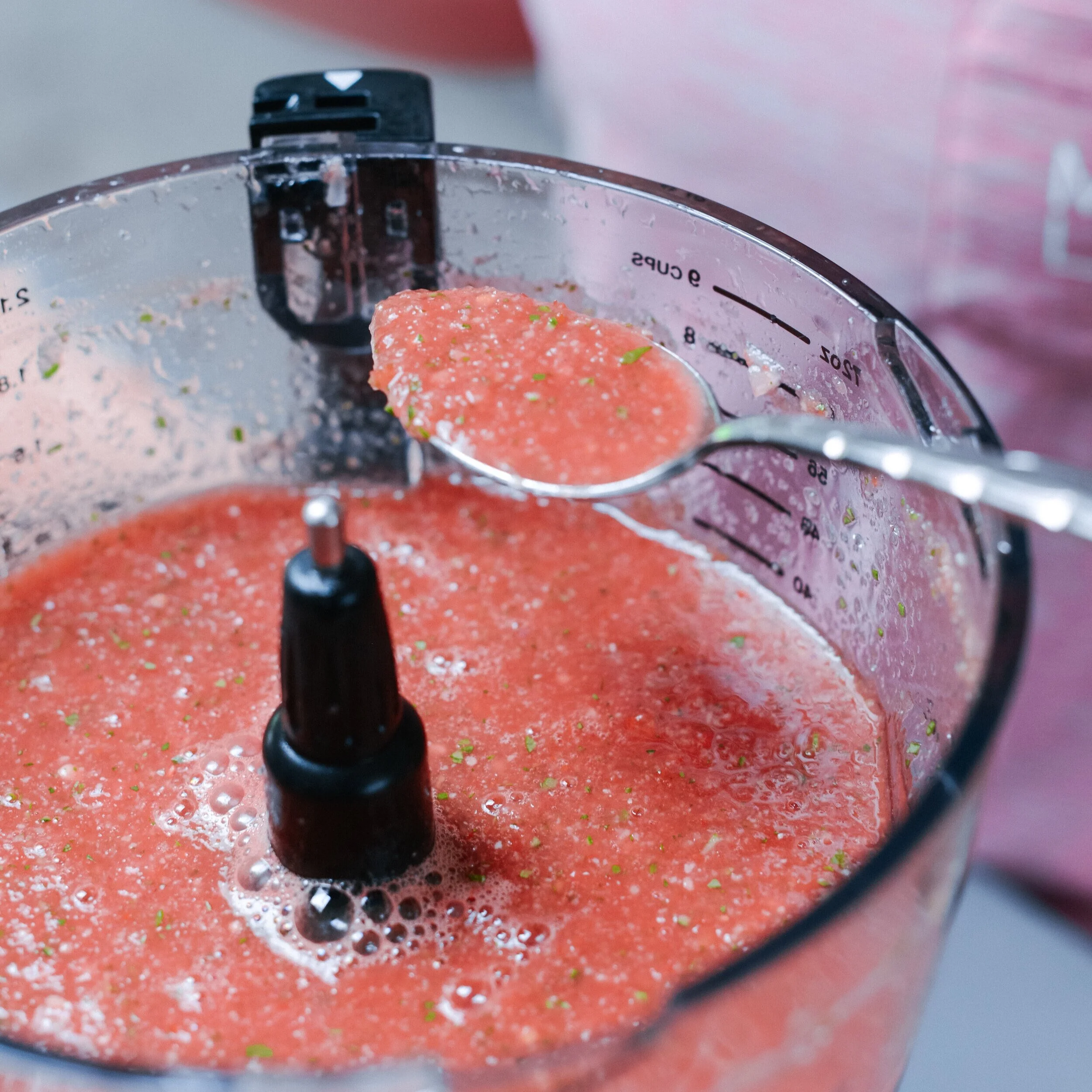 Watermelon Gazpacho
