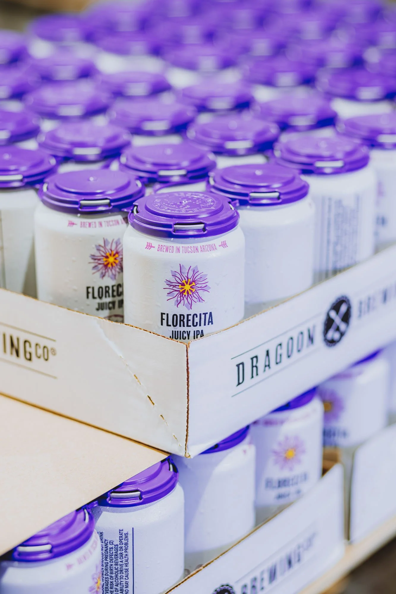 dragoon brewing co. _ web resolution-13.jpg