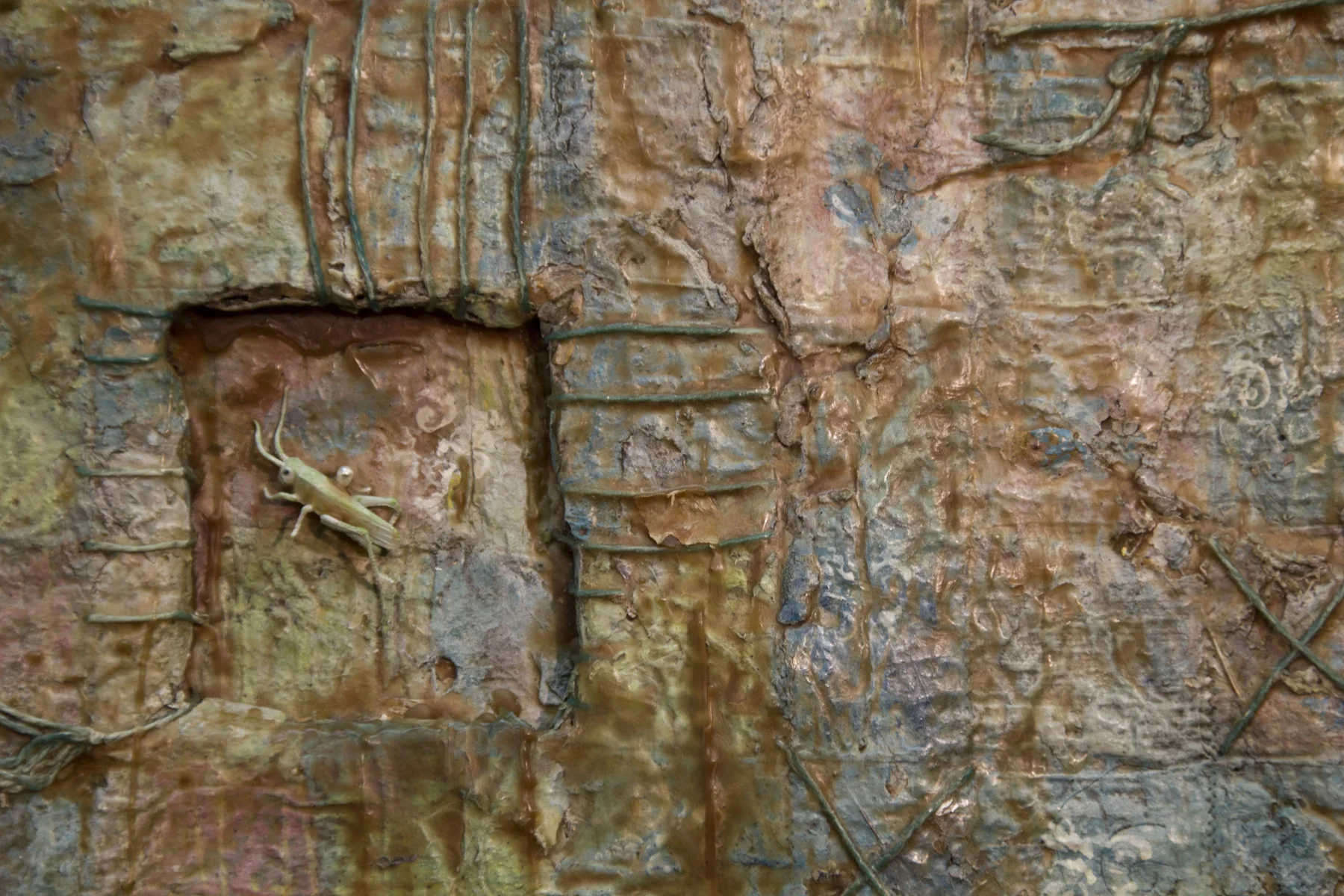 natural history (detail)