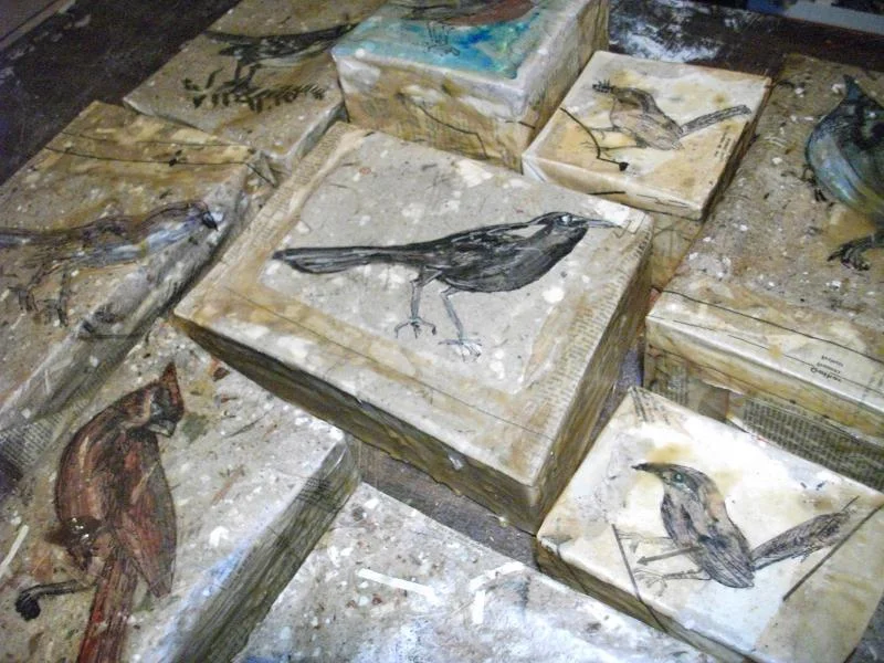 more birds on waxed boxes.JPG