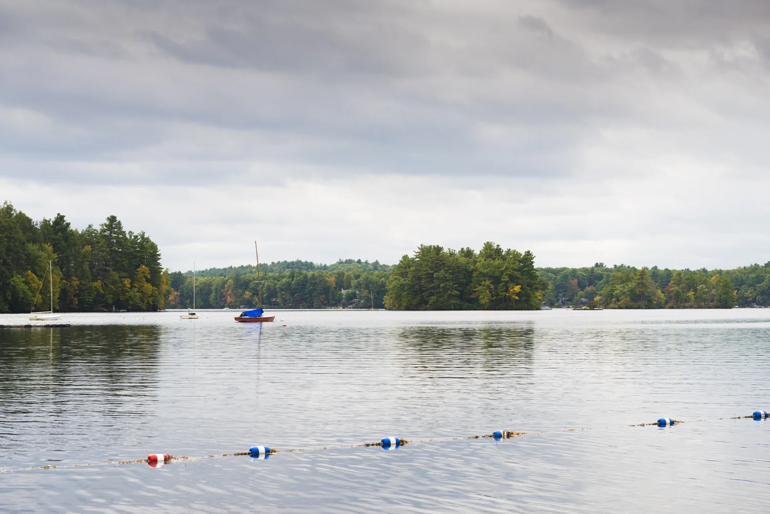 _DSC8117.jpg