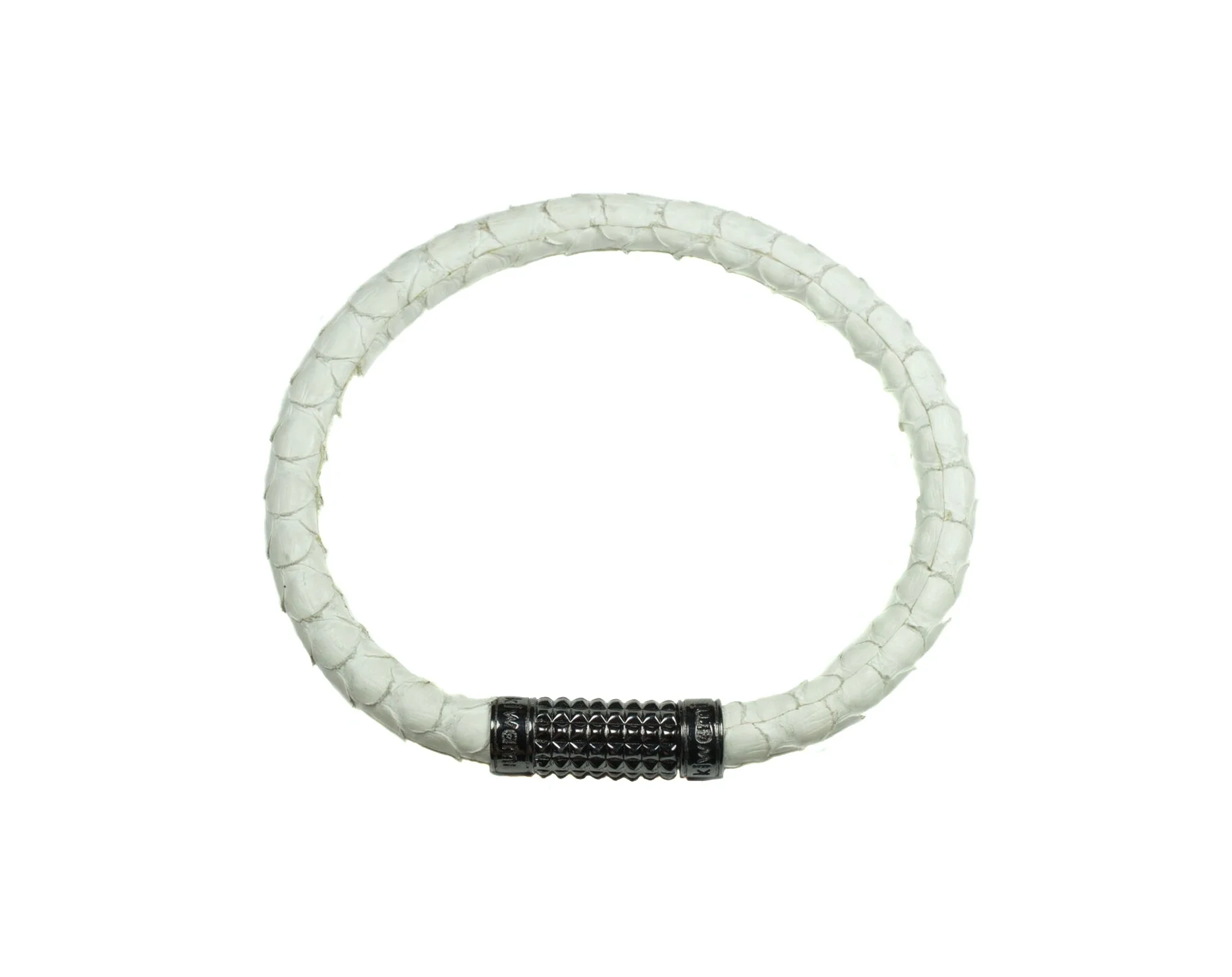 white python white background.jpg