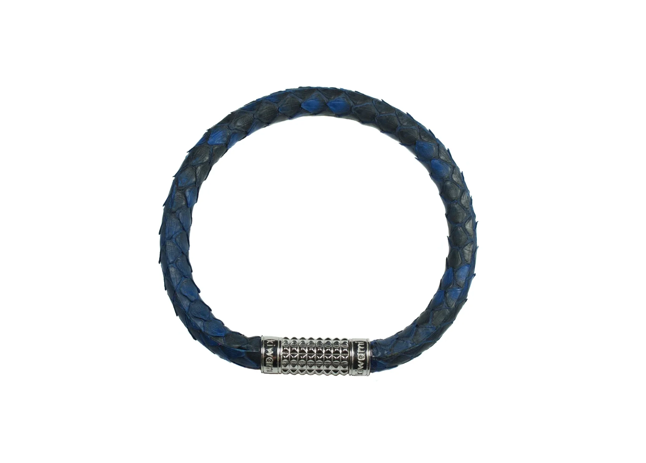 blue python white background.jpg