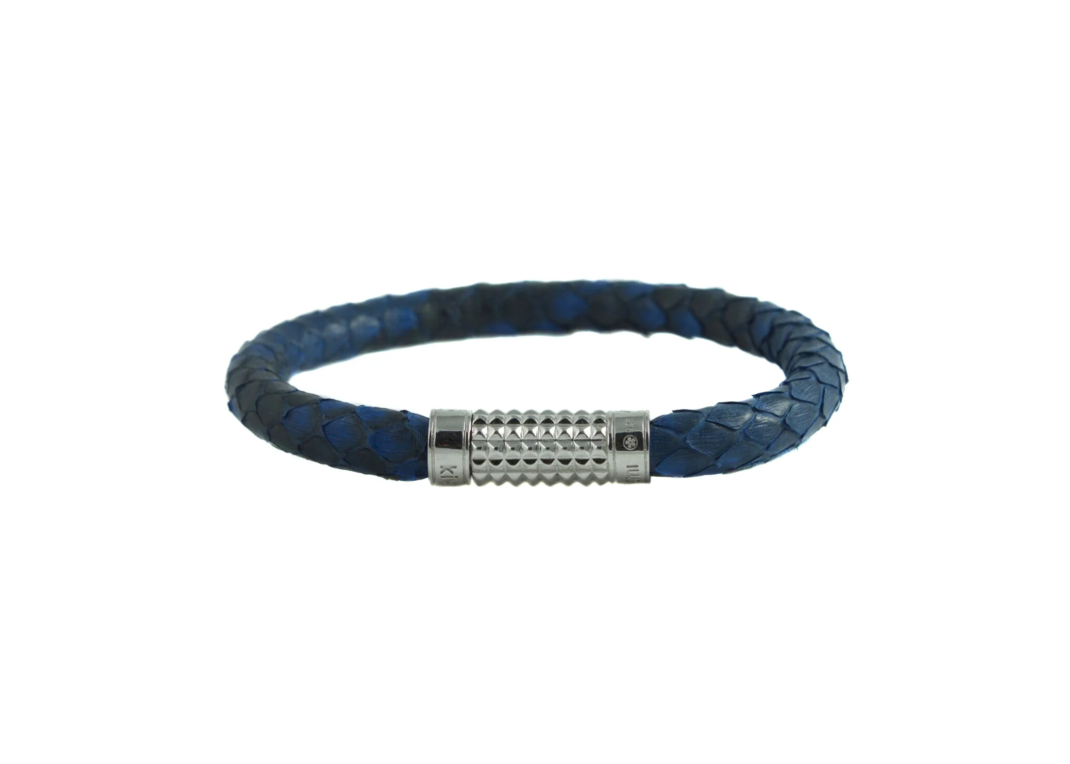 blue python 3 white background.jpg