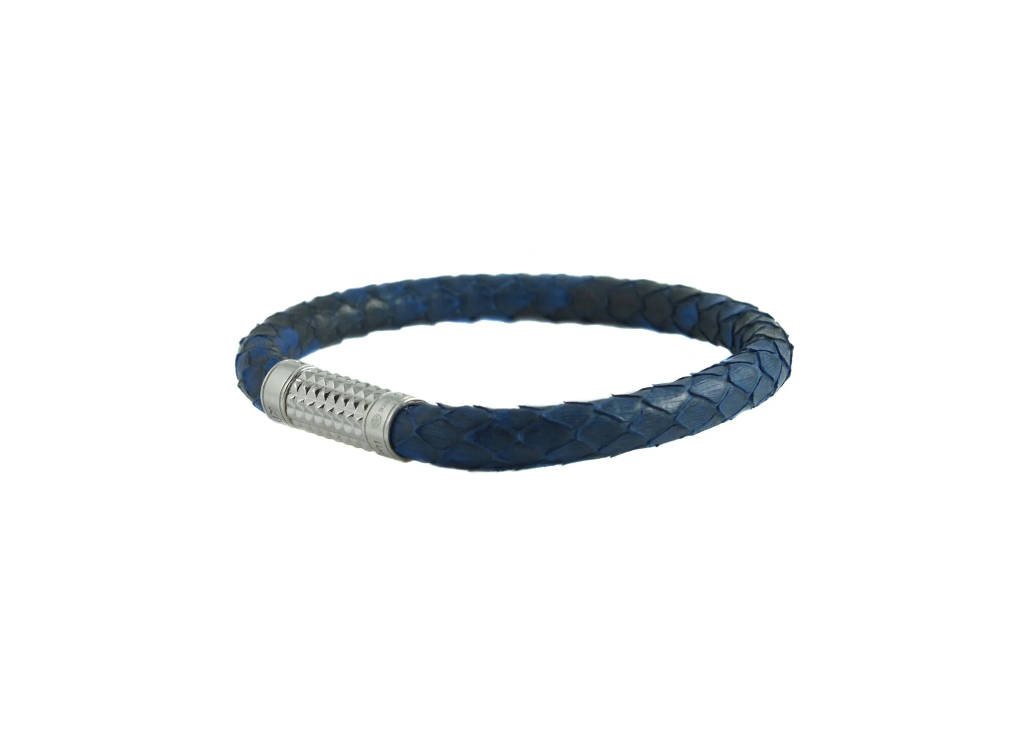 blue python 2 white background.jpg