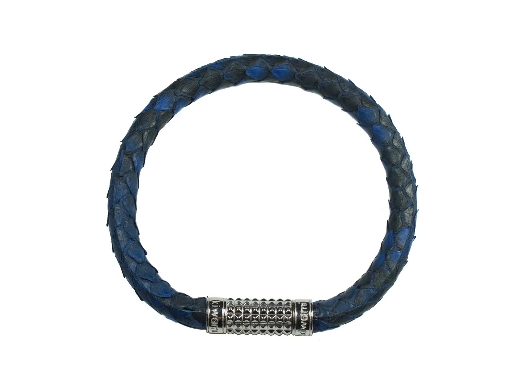 blue python white background.jpg