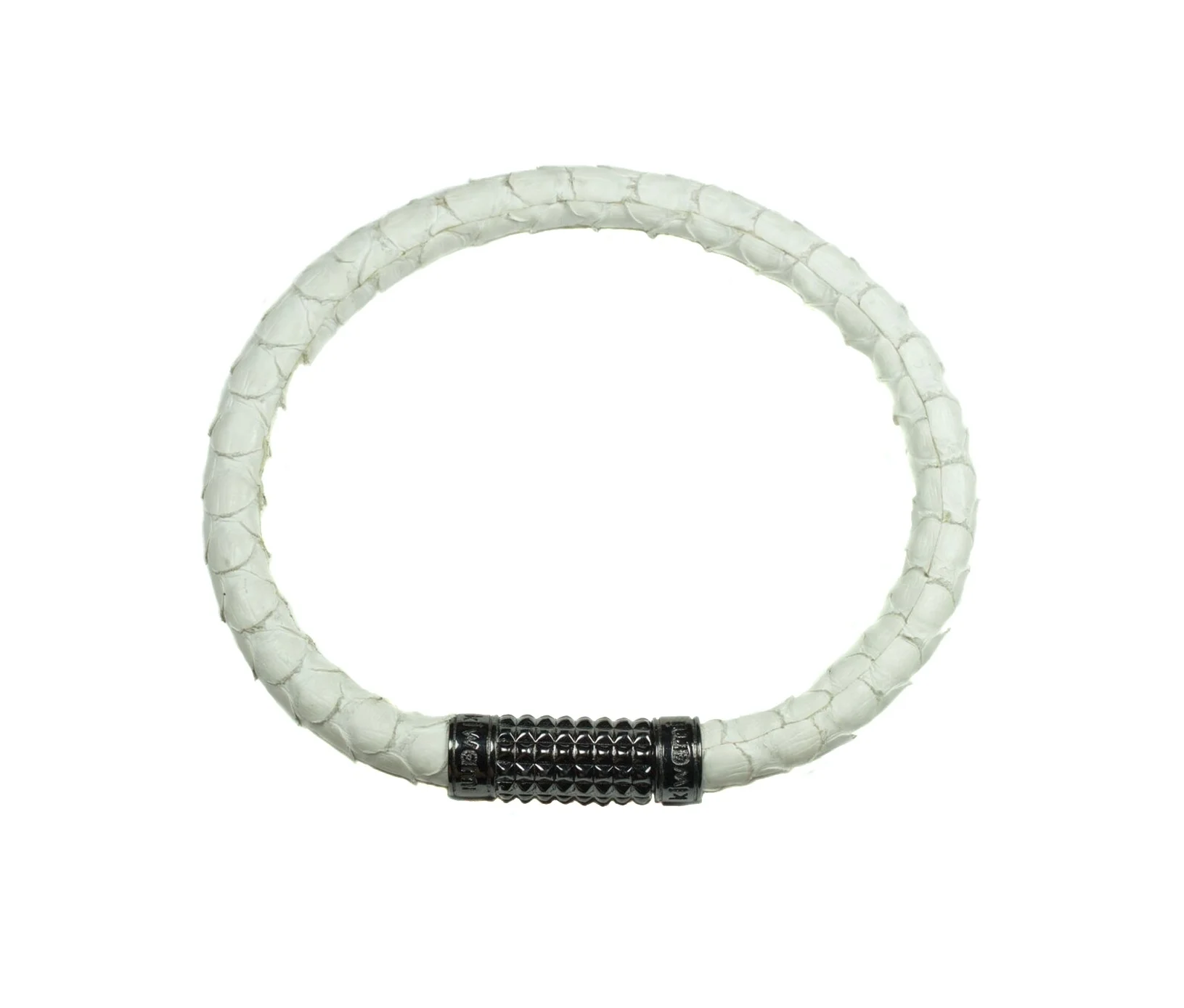 white python white background.jpg