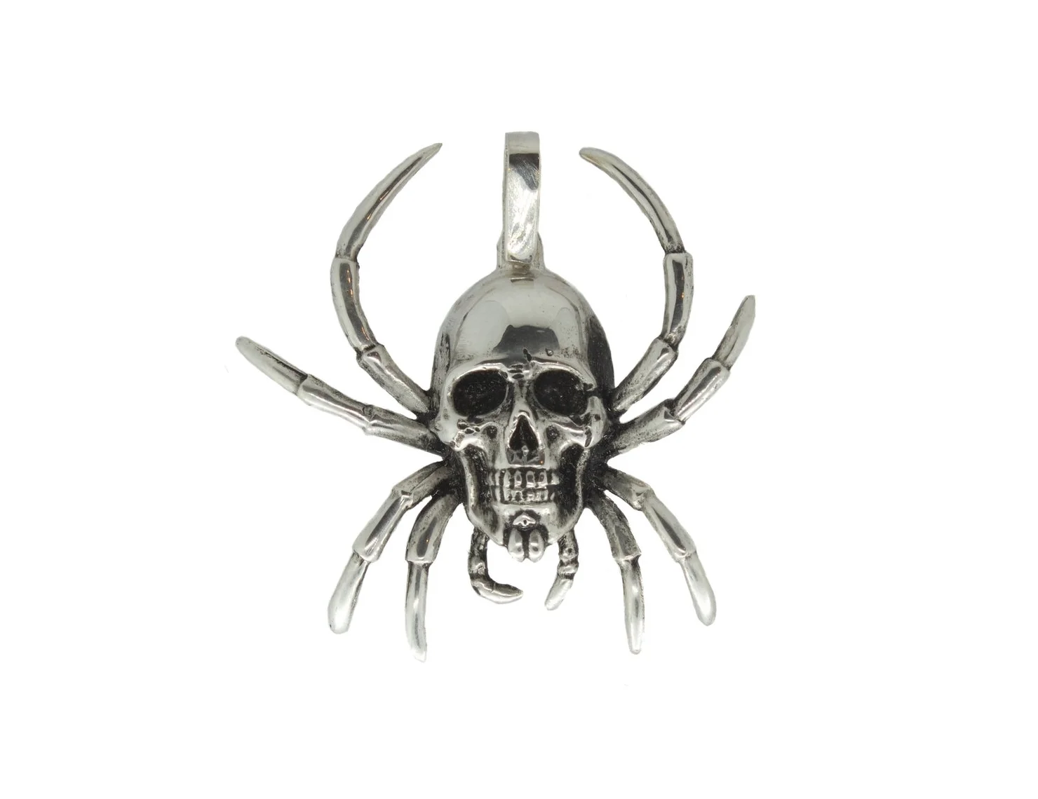 Spider Skull white background.jpg