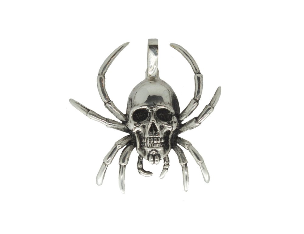 Spider+Skull+white+background.jpg