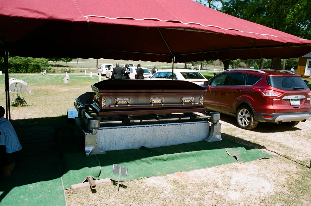 34770016.JPG