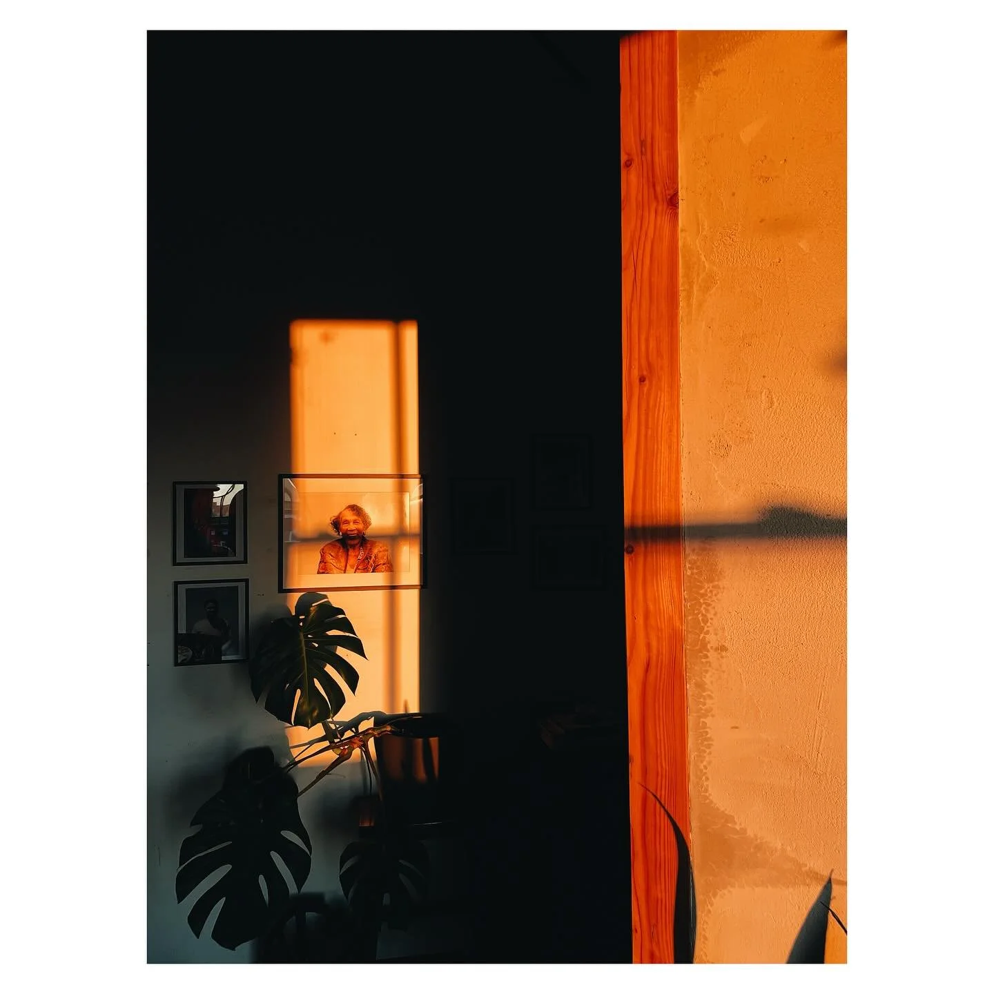 sunsets at home feat. grandmom.

we still here. 👊🏾