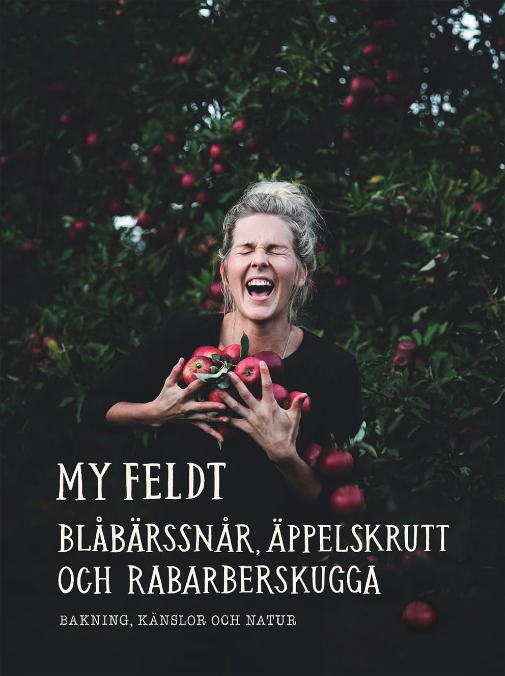 Vikten av rätt val av brandmanapparater för hemmet
