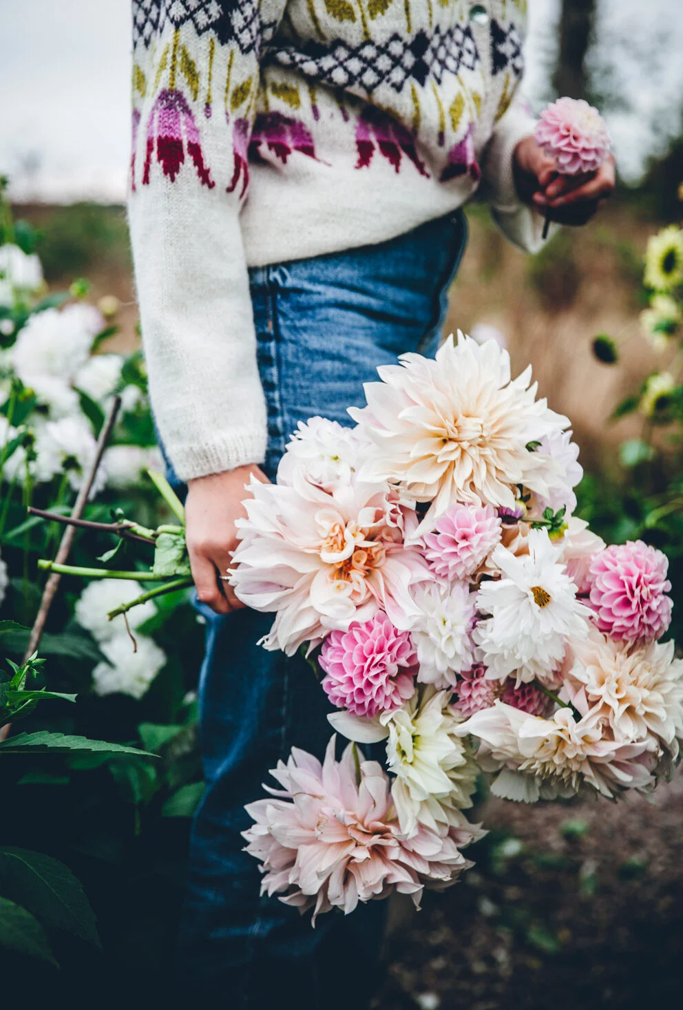 dahlia_5384.jpg