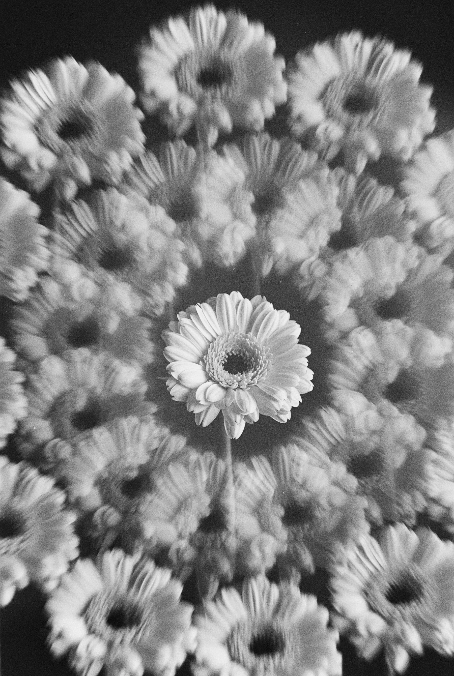 Experiments on B&amp;W Film