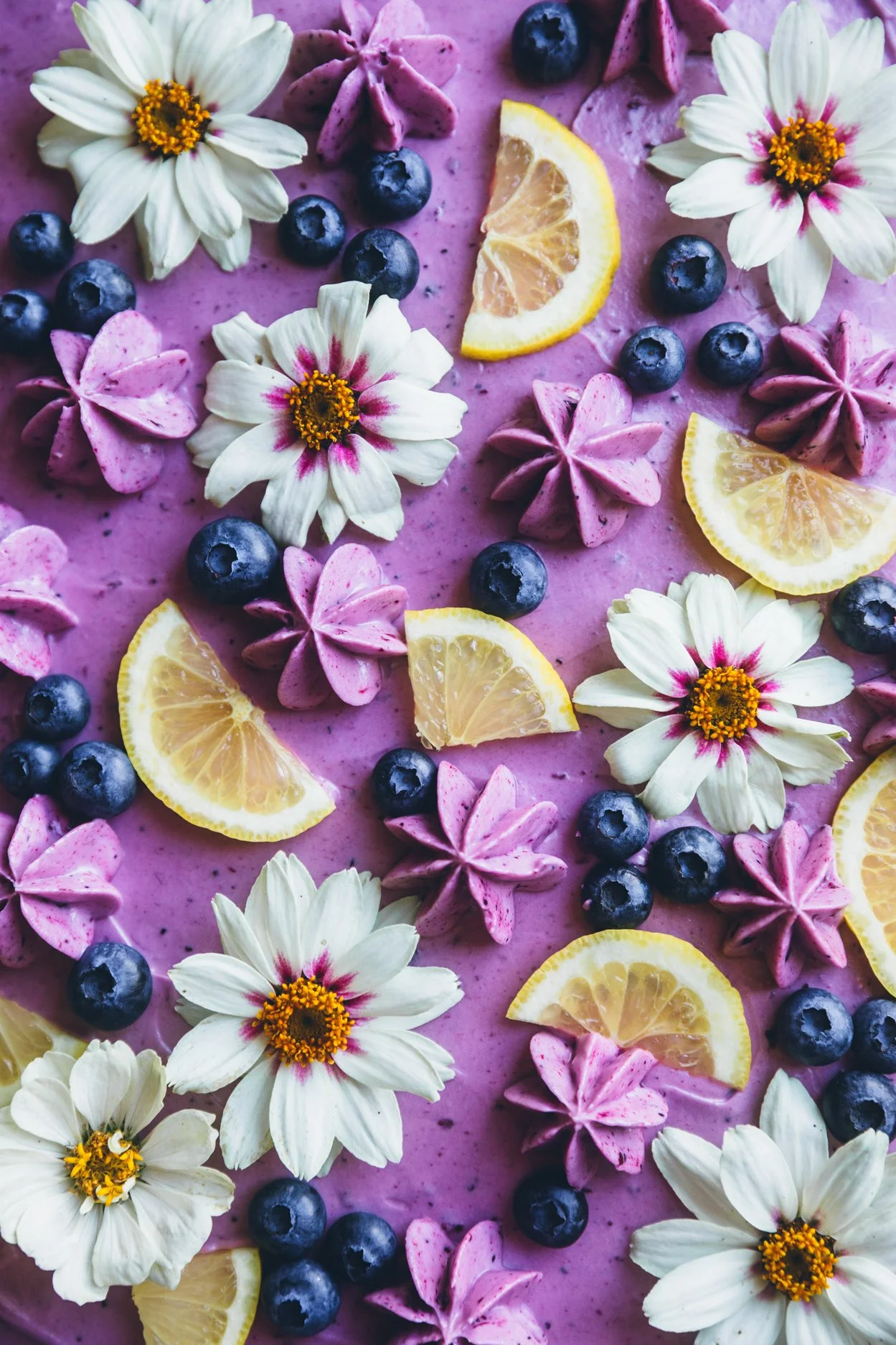 Blueberry Lemon Sheet Cake with Cream Cheese Frosting