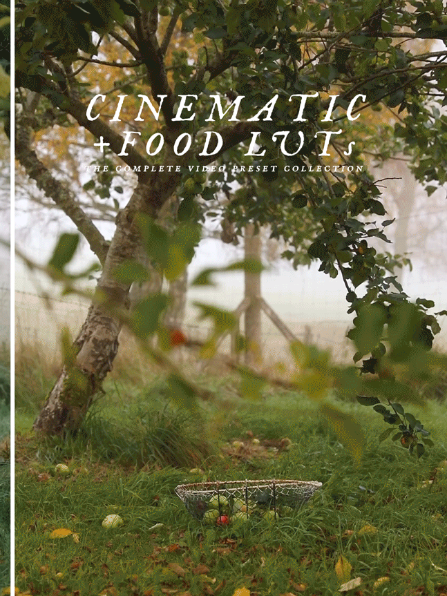 Cinematic + Food LUTs - The Complete Video Preset Collection - 40 LUTs