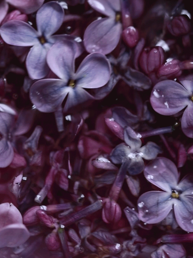 aqua.gif