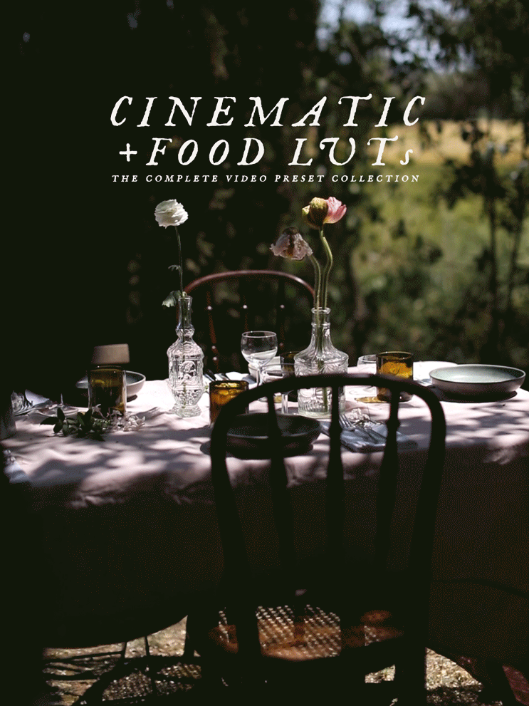 Cinematic + Food LUTs - The Complete Video Preset Collection - 40 LUTs