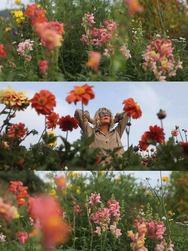 Sequence-05_2.gif