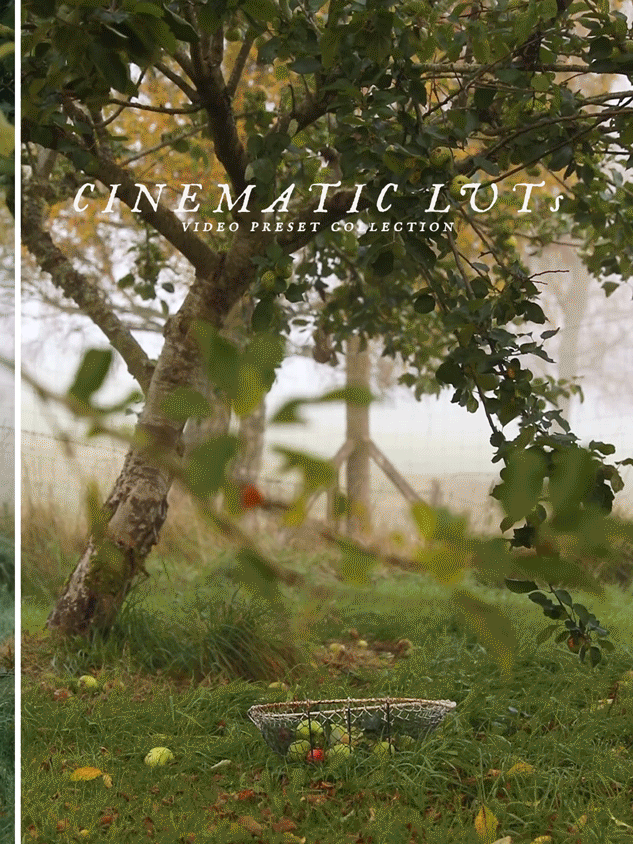 Cinematic LUTs - Video Preset Collection - 20 LUTs