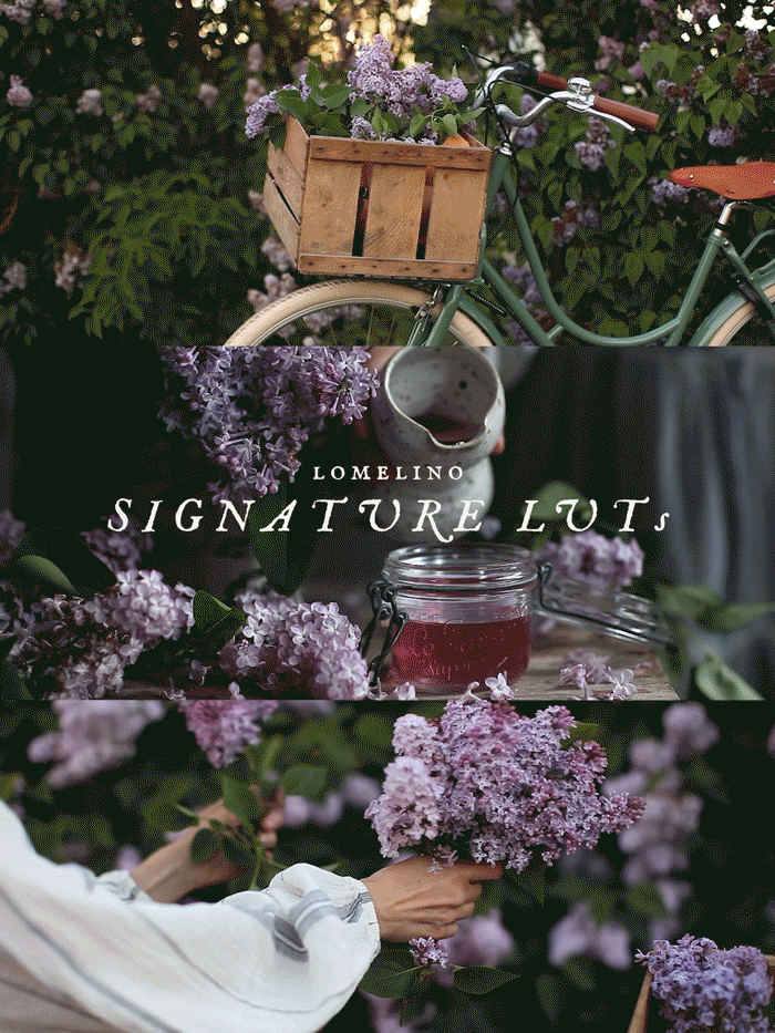 SignatureLuts.gif