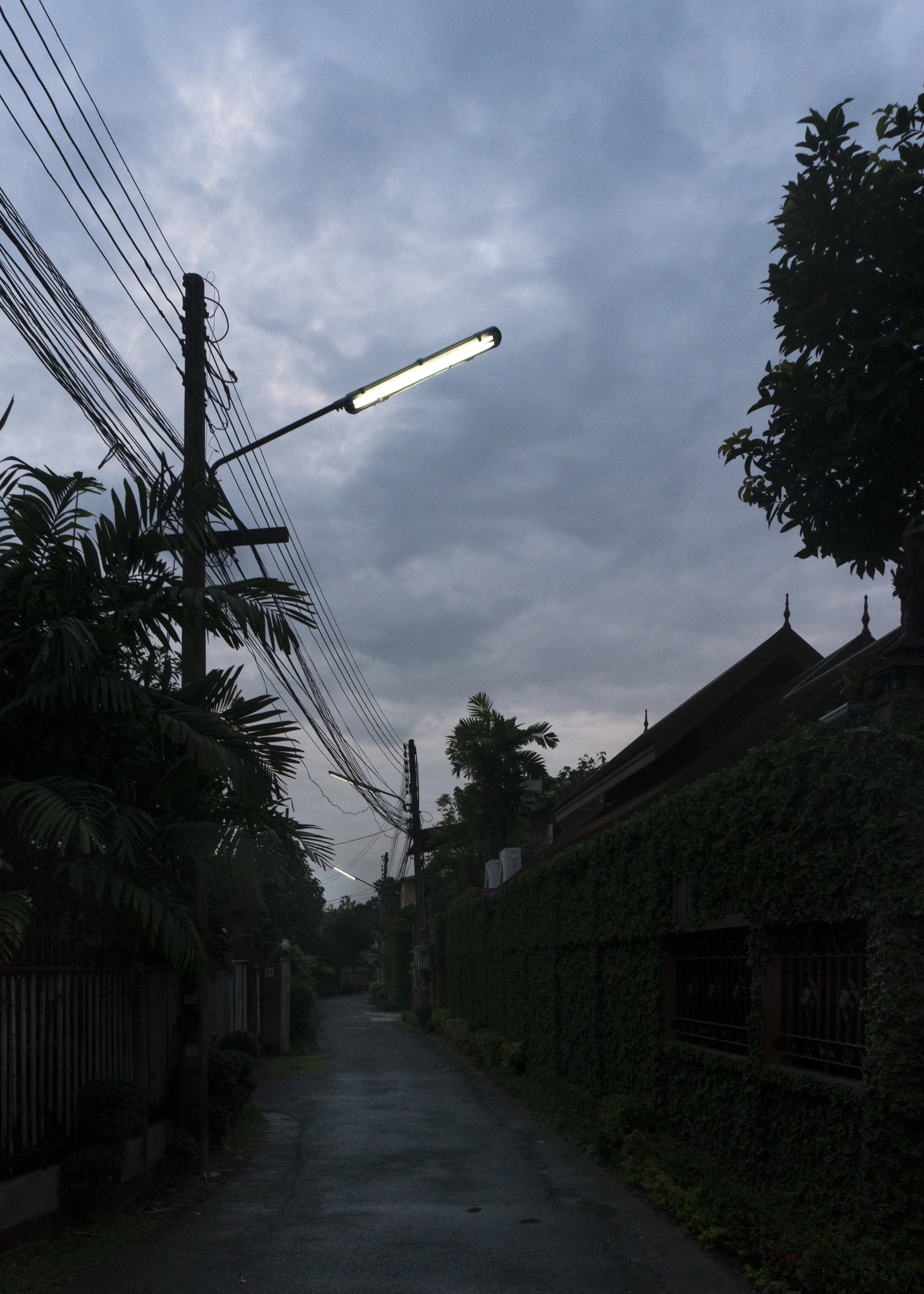 XTM_1135.jpg
