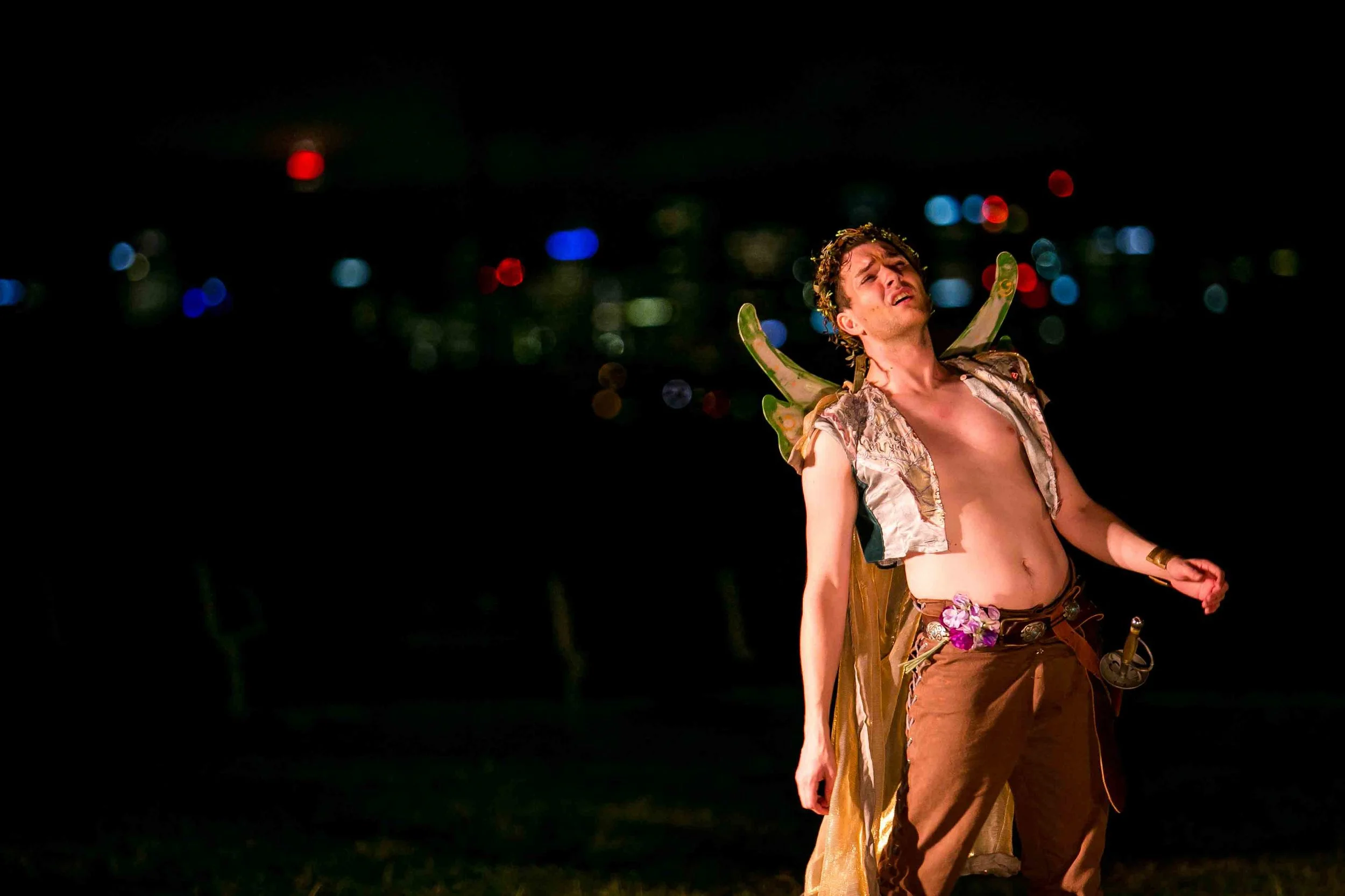 Midsummer Nights Dream