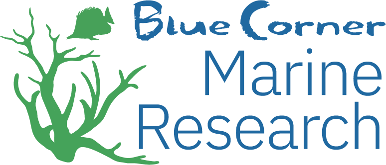 Blue Corner Marine Conservation