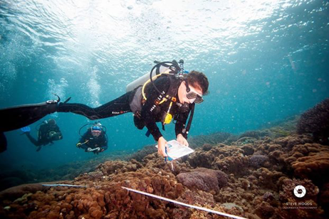 A diver conducting a benthic survey at the restoration site