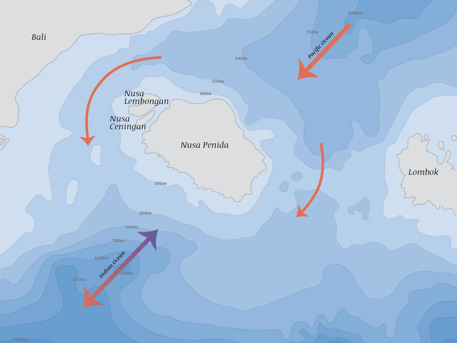Map of the Nusa Islands showing ocean currents flowing past the Marine Protected Area