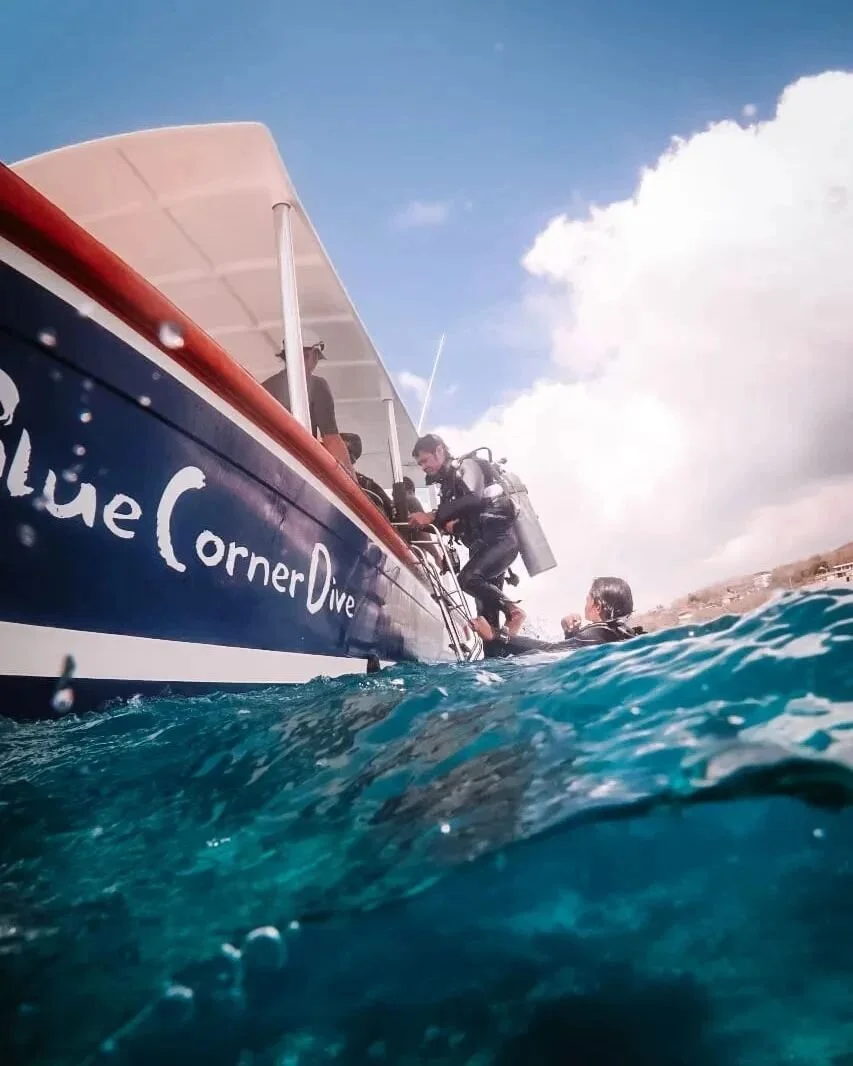 Blue Corner Marine Research