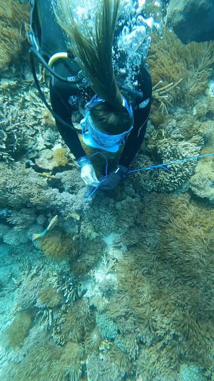 Blue Corner Marine Research