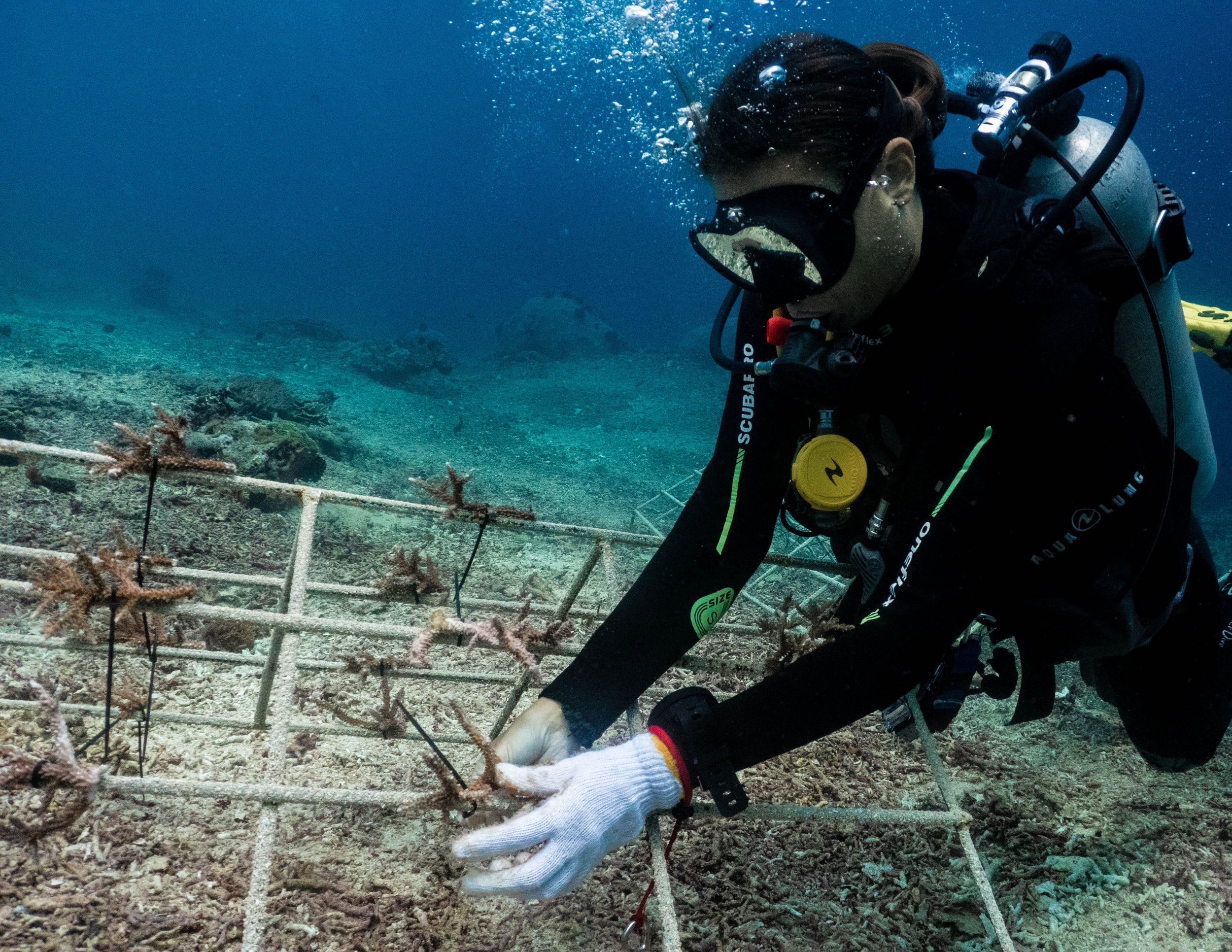 coral restoration internship student at Blue Corner Conservation