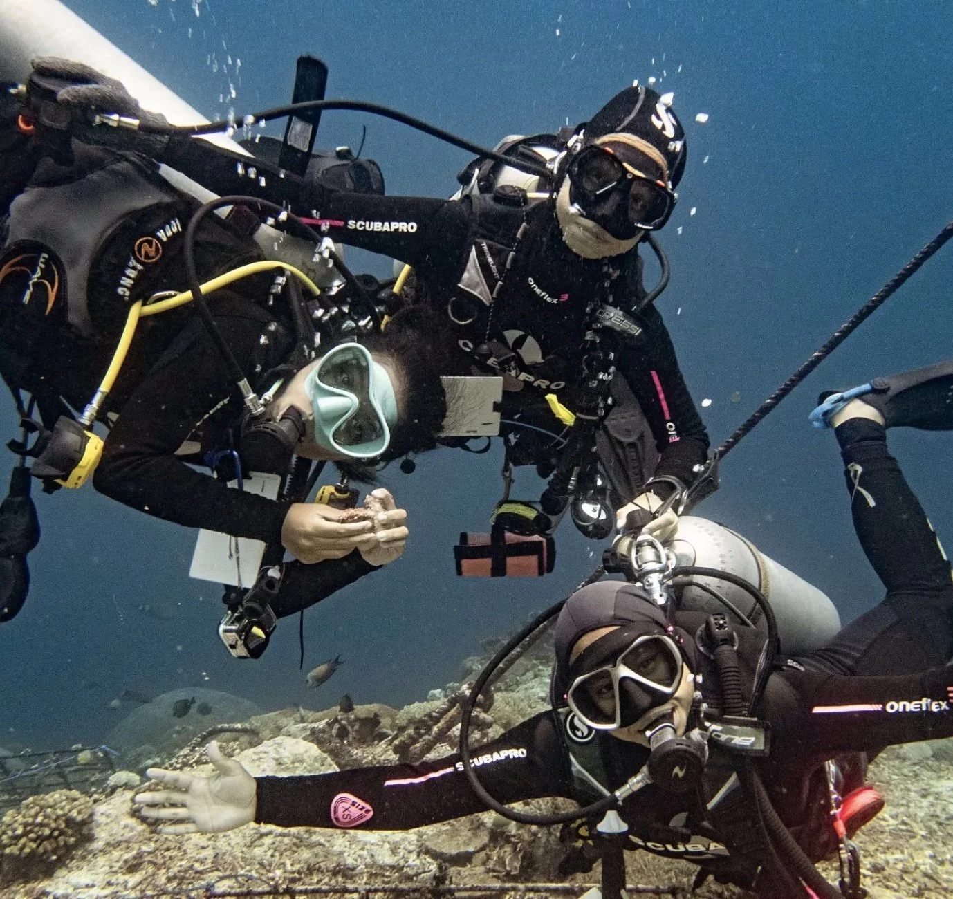 Indonesian university students on the conservation scholarship program