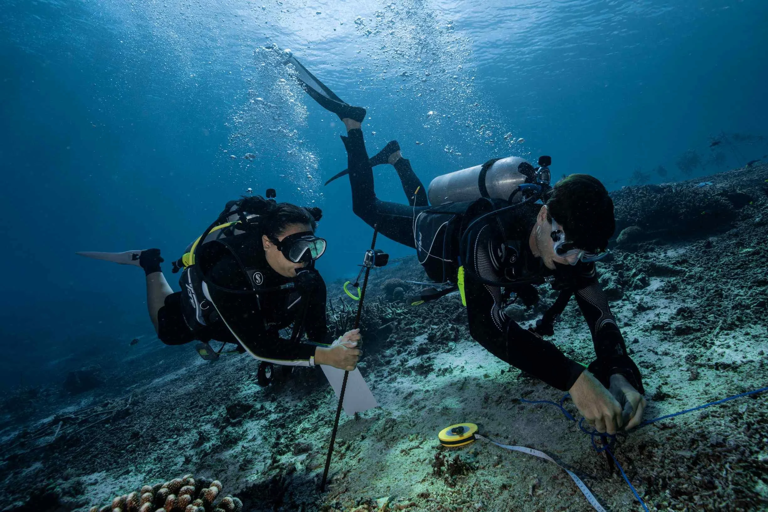 Andrew Taylor PhD restoration ecology conducting research with students