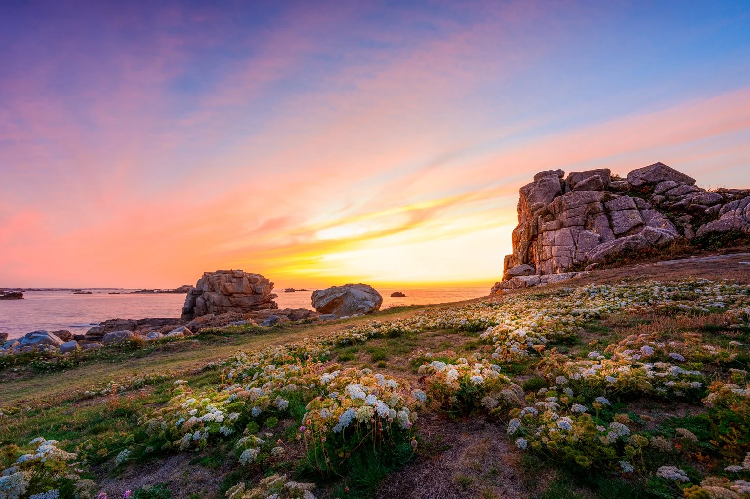 Roze Rotsen - Pink Rocks - Plougrescant.jpg