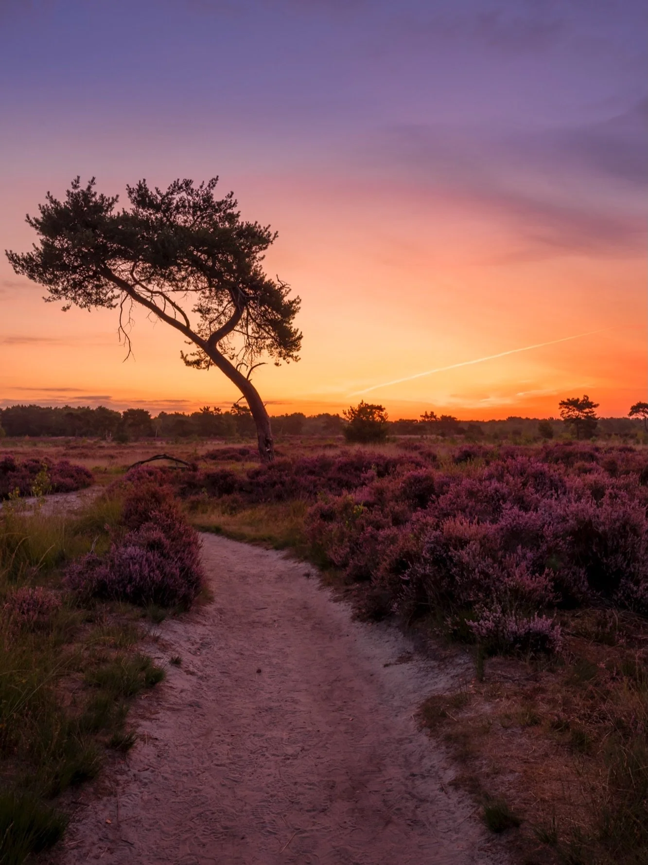 F11 - 1/10 - 27mm - iso100 - rf14-35mm F4 - canon EosR

#2025 #thisisit #magicsunsets #magicsunrise #landscapephotography #aplanphotography #sun #clouds #wanderlust #landscapelovers #naturebrillance #artofnature #outsideisthebestside