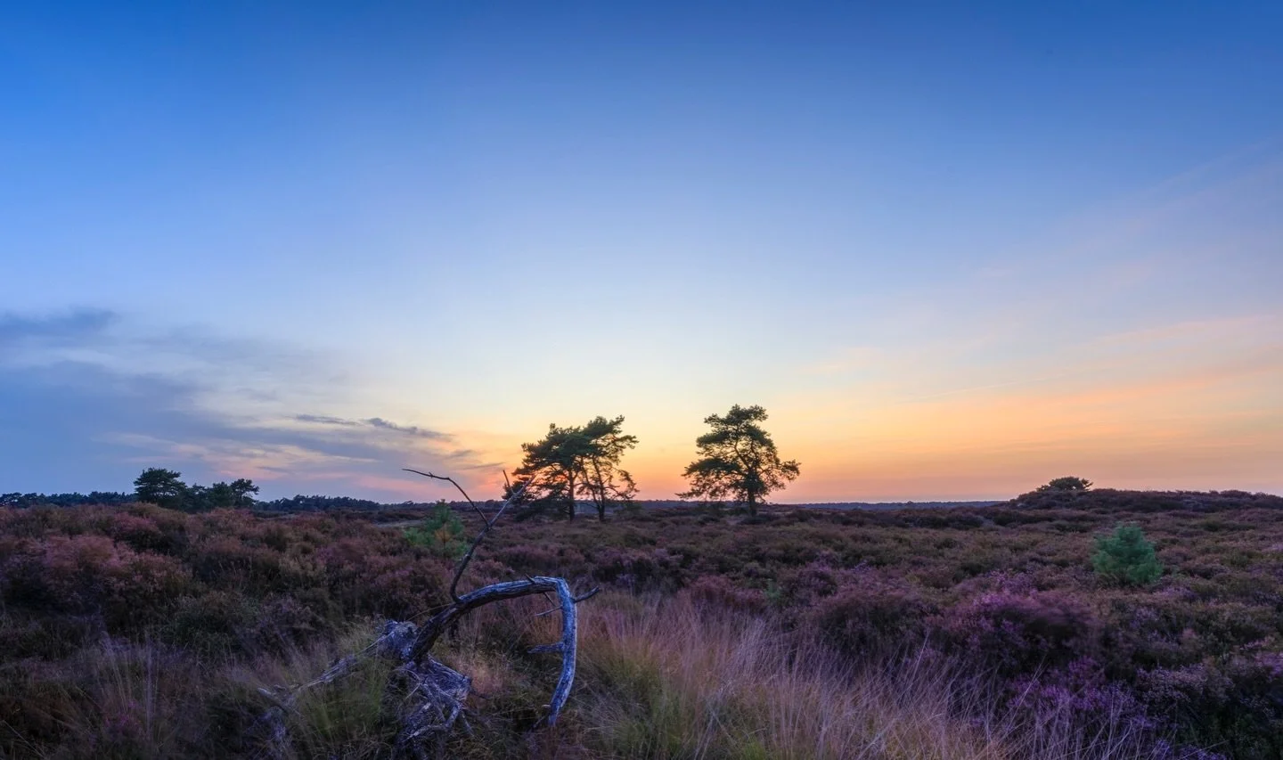 F13 - 1/15 - 14mm - iso100 - rf14-35mm F4 - canon EosR

#2025 #thisisit #magicsunsets #magicsunrise #landscapephotography #aplanphotography #sun #clouds #wanderlust #landscapelovers #naturebrillance #artofnature #outsideisthebestside