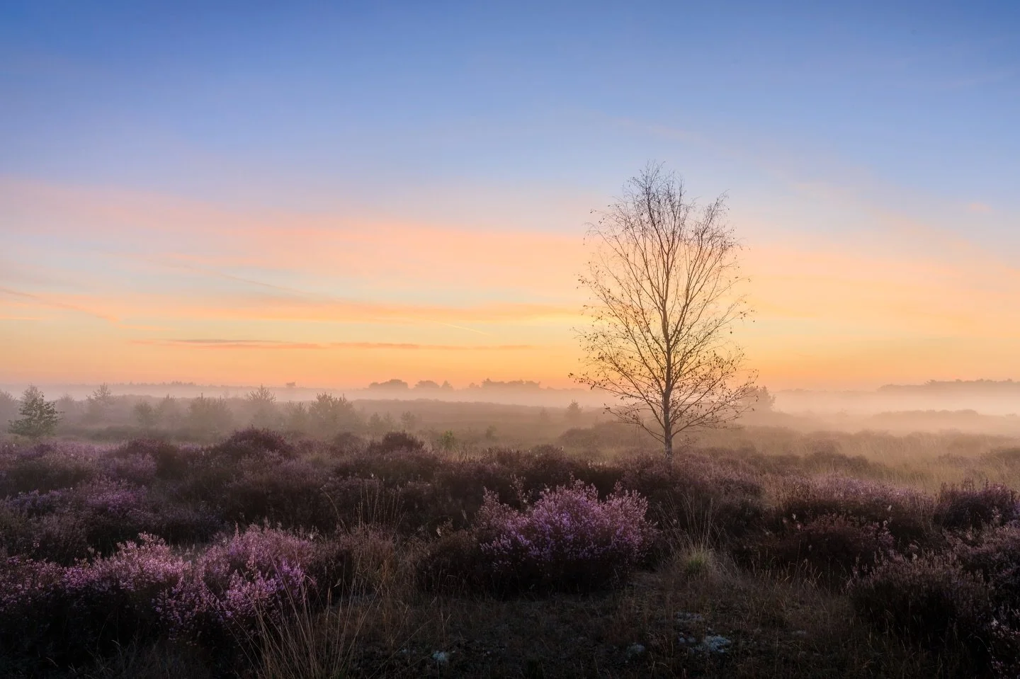 F13 - 1/20 - 24mm - iso100 - rf24-105mm F4 - canon EosR

#2025 #thisisit #magicsunsets #magicsunrise #landscapephotography #aplanphotography #sun #clouds #wanderlust #landscapelovers #naturebrillance #artofnature #outsideisthebestside