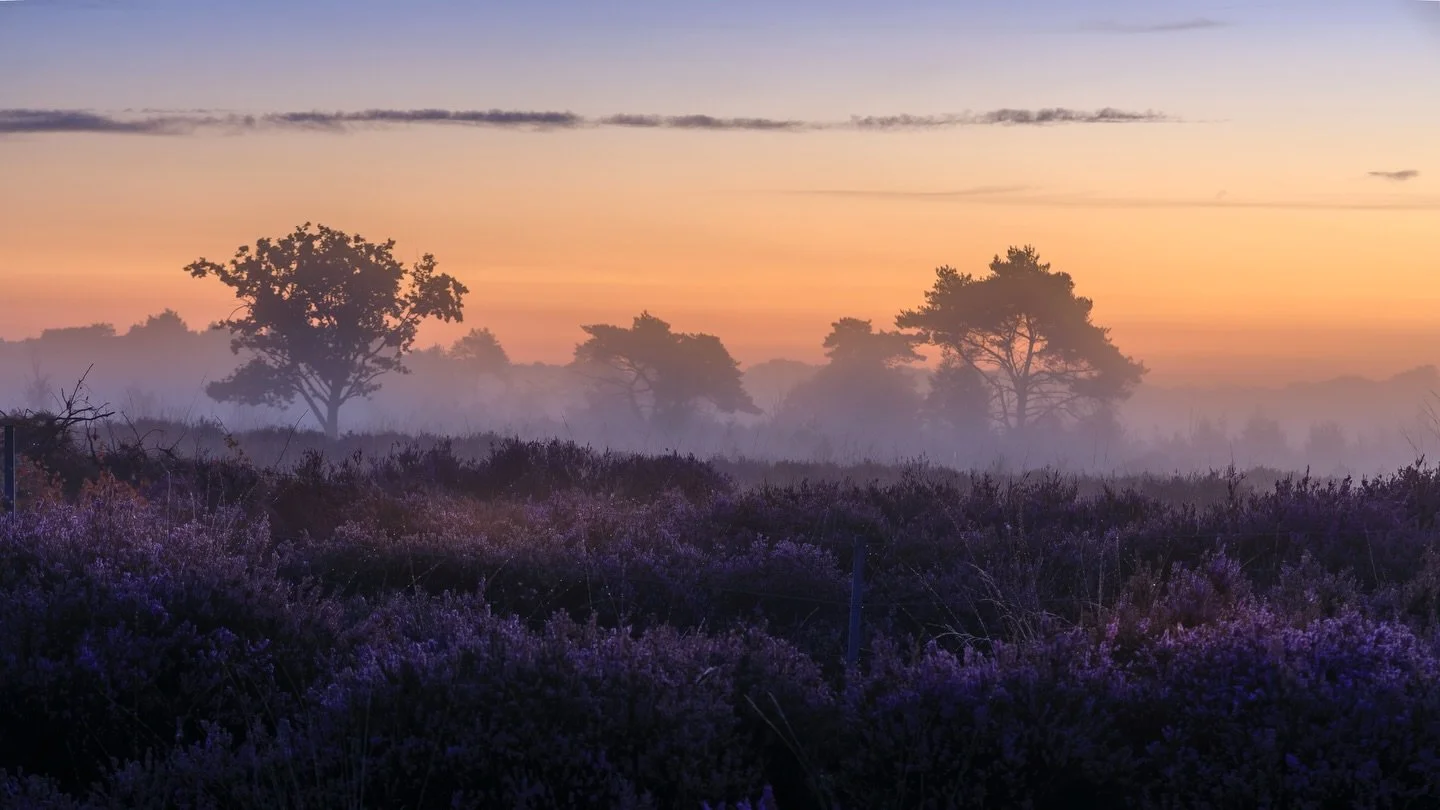 F8 - 1/8 - 88mm - iso100 - rf24-105mm F4 - canon EosR

#2025 #thisisit #magicsunsets #magicsunrise #landscapephotography #aplanphotography #sun #clouds #wanderlust #landscapelovers #naturebrillance #artofnature #outsideisthebestside