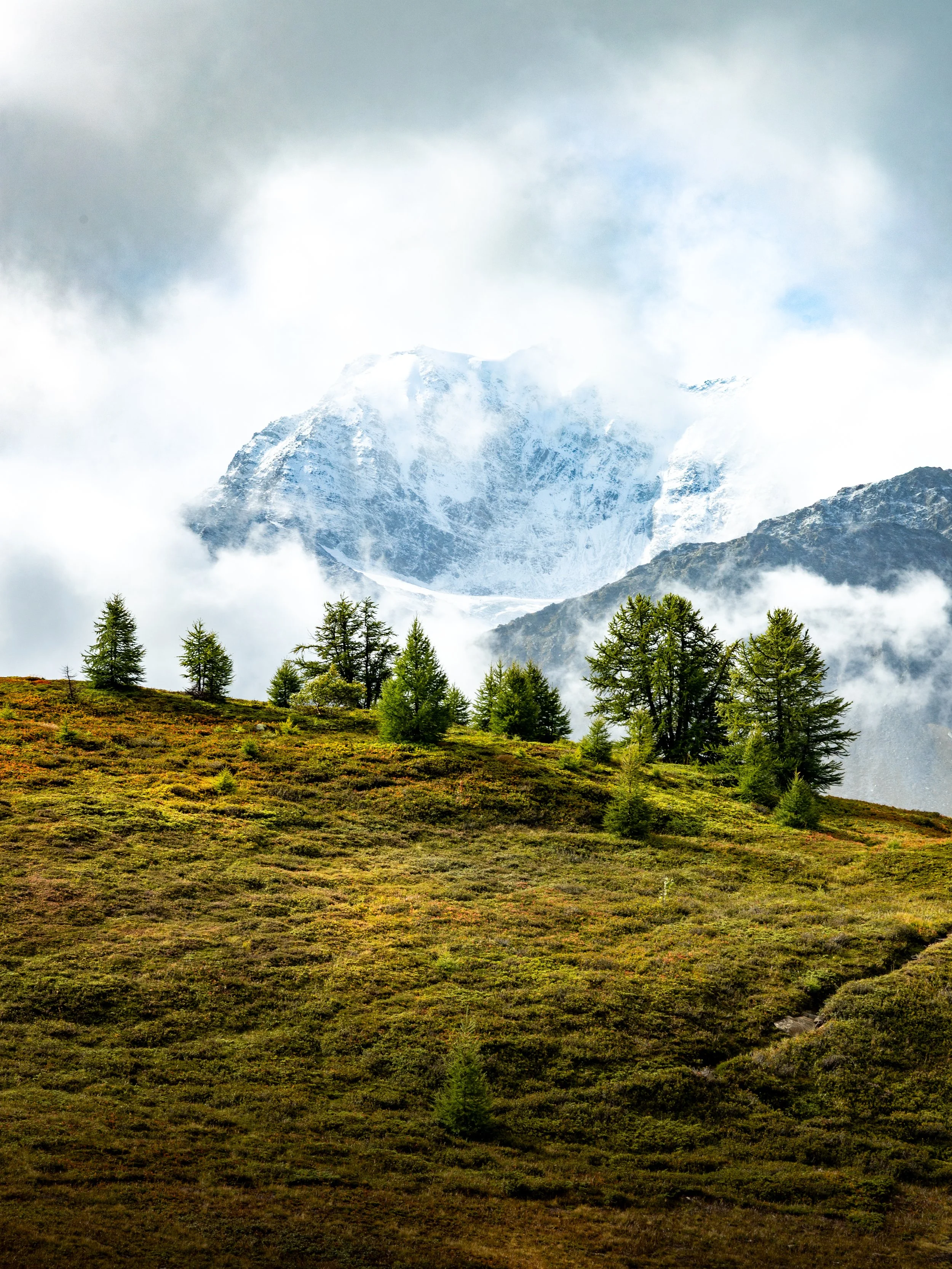Simplonsneeuw - Simplon Snow - Switzerland3.jpg