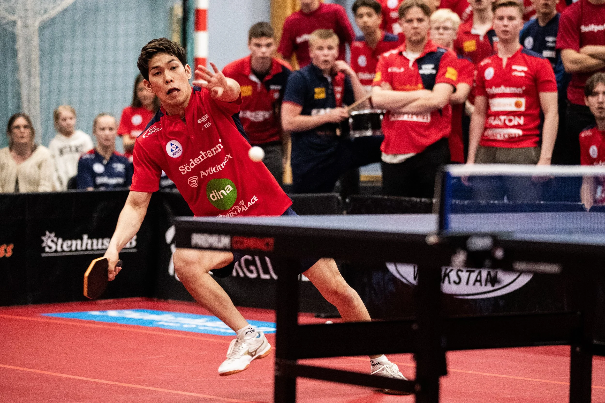 bordtennis-sm-05.JPG
