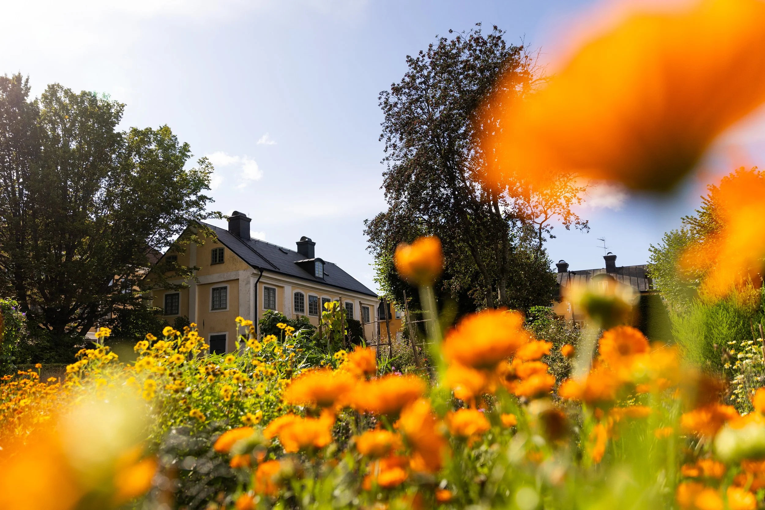  Nya marknadsföringsbilder på Linnéträdgården vid Uppsala Universitet. Bildernas syfte är att visa upp den natursköna miljön i trädgården som ska väcka intresse för nya besökare. 