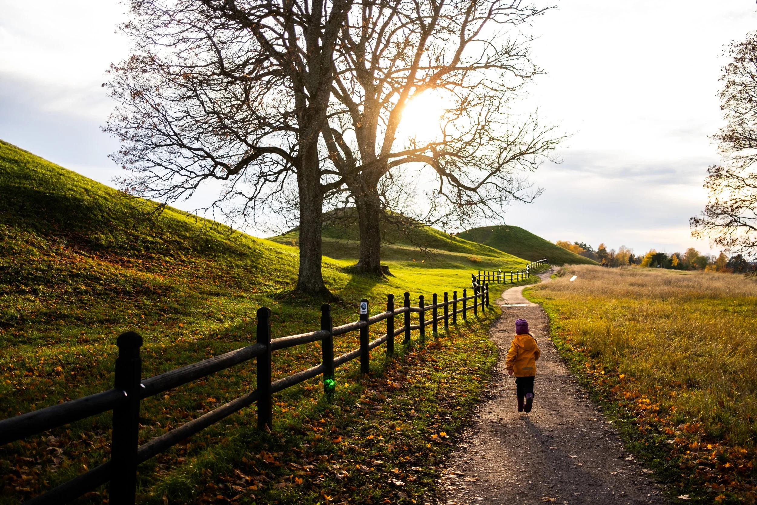  Kungshögarna i Gamla Uppsala. 